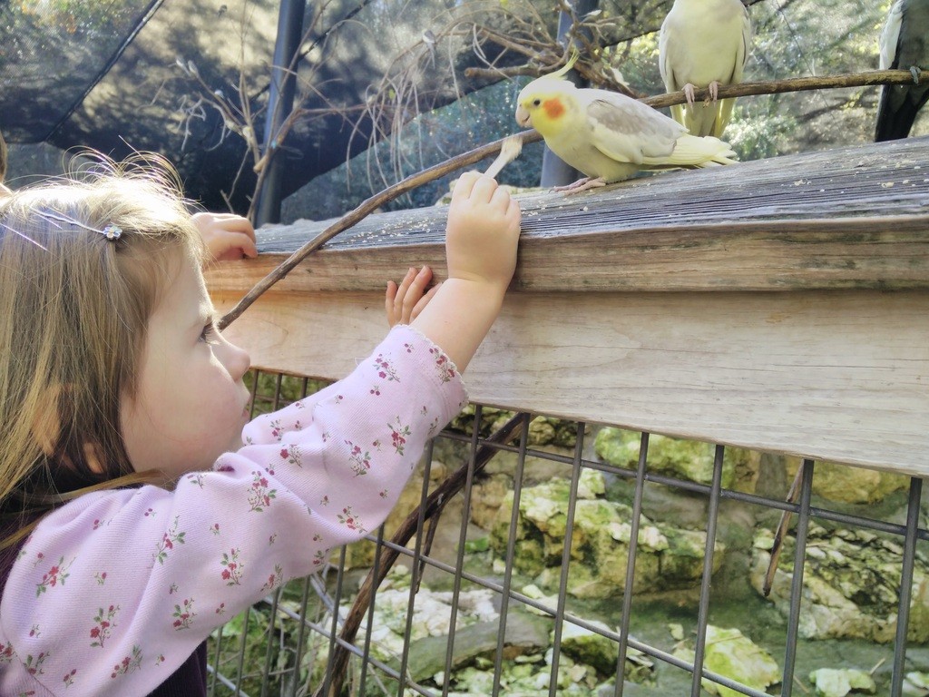 Trip to the Ft. Worth Zoo