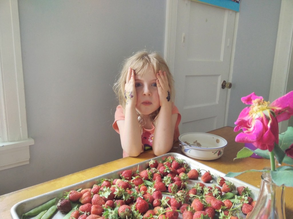 2015-05-19.jpg.1024