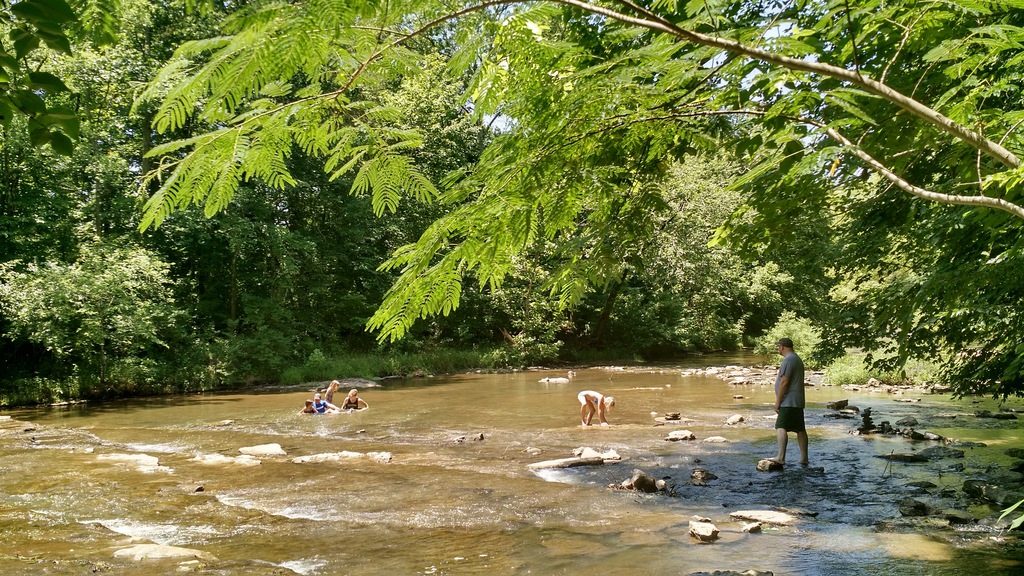 Wading in the Harpeth River in Edwin Warner Park.