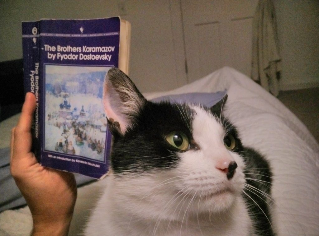 img_20160801_215103