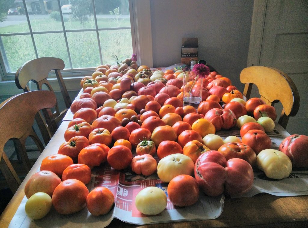 We picked this many several times over.