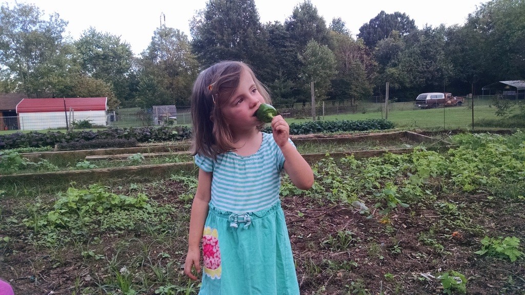 C eating one of the last of the bell peppers.